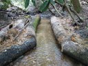 Pretty Branch Flow Constrictors, Cooper Creek, Georgia