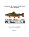EBTJV Conservation Strategy