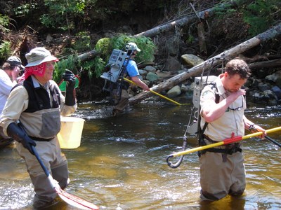 Fish survey