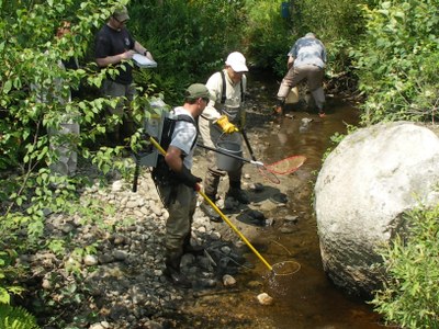 Fish Survey