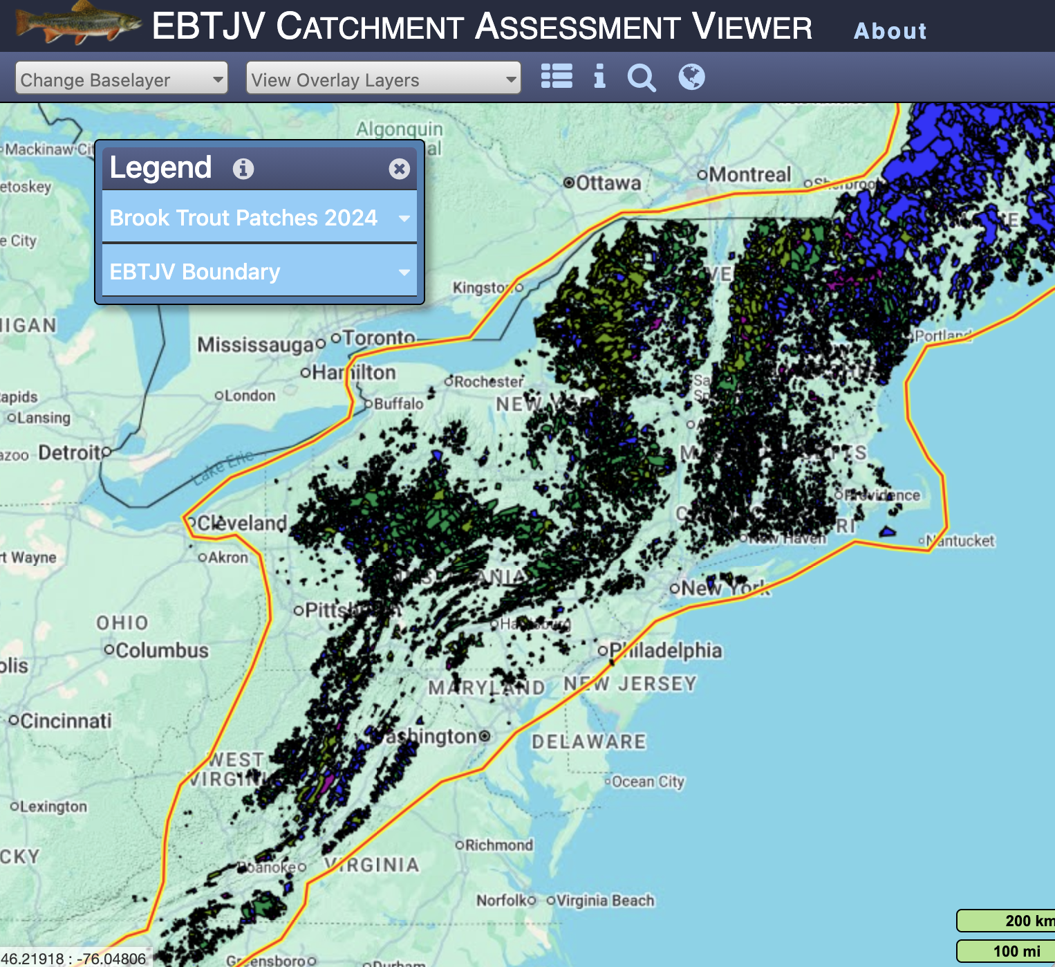 Static_AssessmentViewer