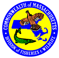 MA Logo