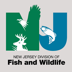 NJ Logo