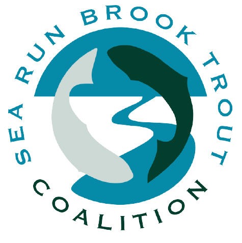 Sea Run Brook Trout Coalition