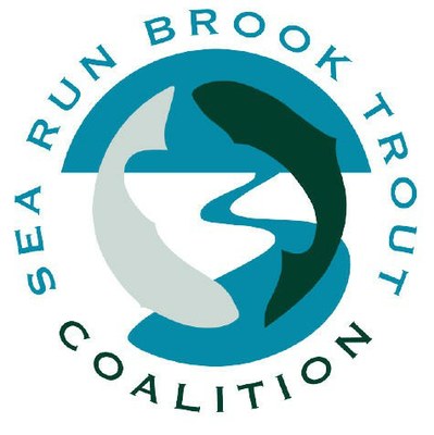 The Sea-Run Brook Trout Coalition is a non-profit organization established for the purpose of protecting and restoring sea-run brook trout populations and the coastal watersheds that they depend upon.

The Sea-Run Brook Trout Coalition is founded on the belief that anglers, Federal, State and Provincial fisheries agencies, sport fishing businesses, and other environmental and conservation stake holders can unify to protect and restore sea-run brook trout and their coastal watersheds.

