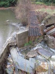 Restoring Diadromous Fish Passage and Habitat to Shoreys Brook, Maine