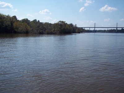 Spotlight on James River Atlantic Sturgeon Habitat Restoration, Virginia