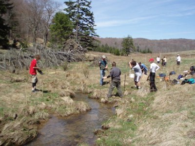 Photo of volunteers from local schools planting thousands of trees to reforest the riparian zone.