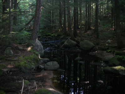 Photo looking upstream in Carloe Brook in Maine.