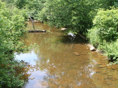 Acid Mine Drainage in Casselman River, MD.  