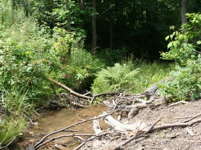 Photo 2 of Casselman River, MD