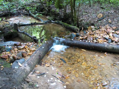 Wedge Dam placed in Burnett Creek to restore brook trout habitat.