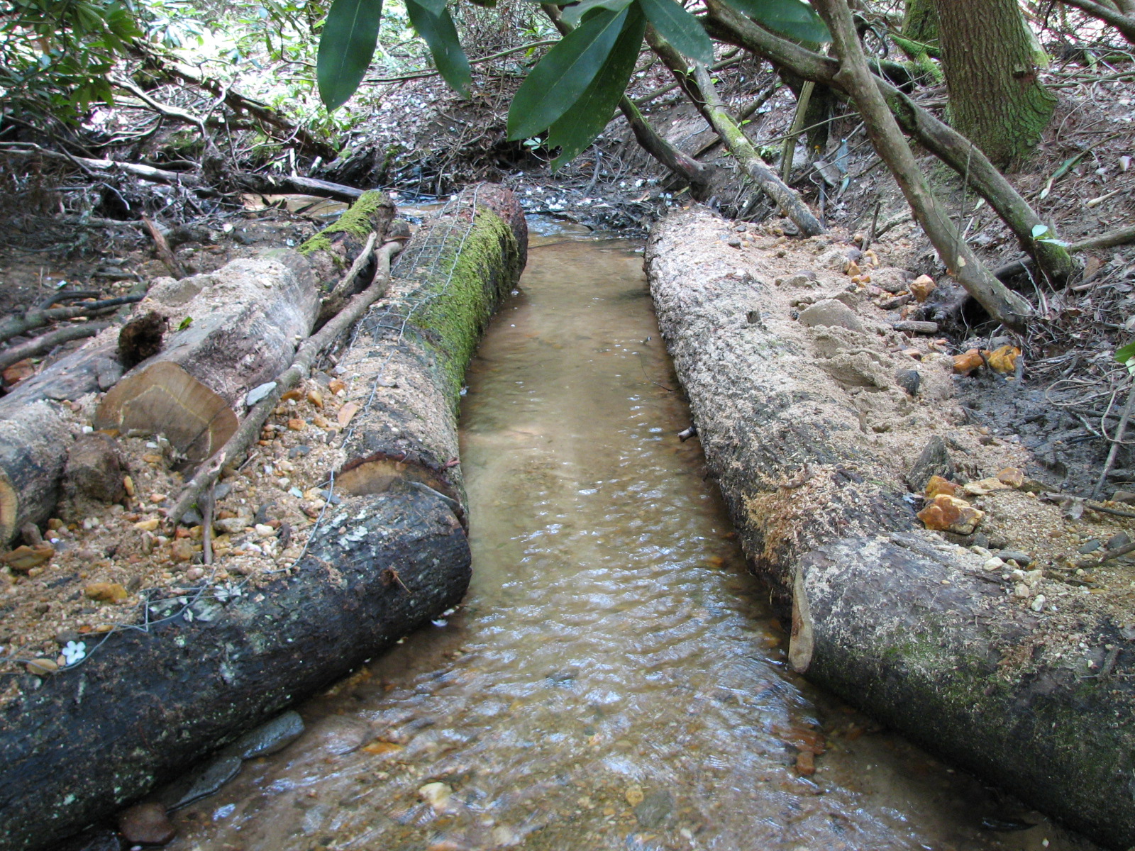 Pretty Branch Flow Constrictors, Cooper Creek, Georgia