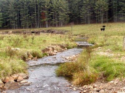 Whitethorn Creek, West Virginia