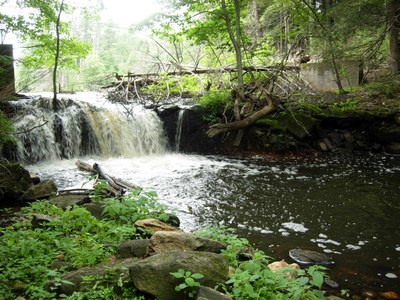 Photo of the dam to be removed on Hamant Brook in Massachusetts.