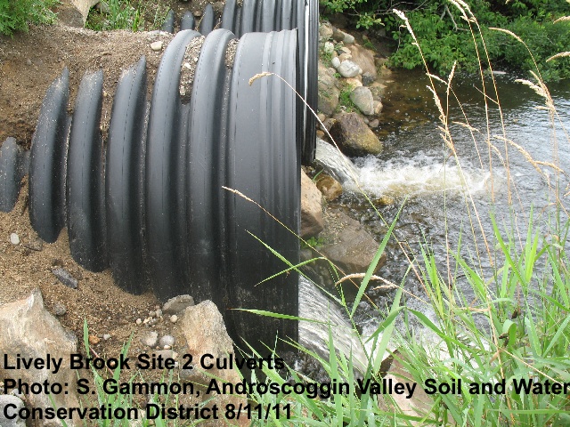 Photo of Lively Brook Culverts, Maine