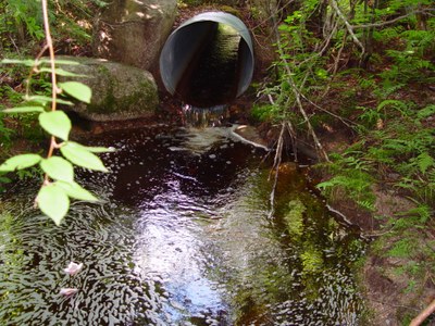 Photo of the outlet of Burroughs Brook Culvert to be replaced with bottomless arch.