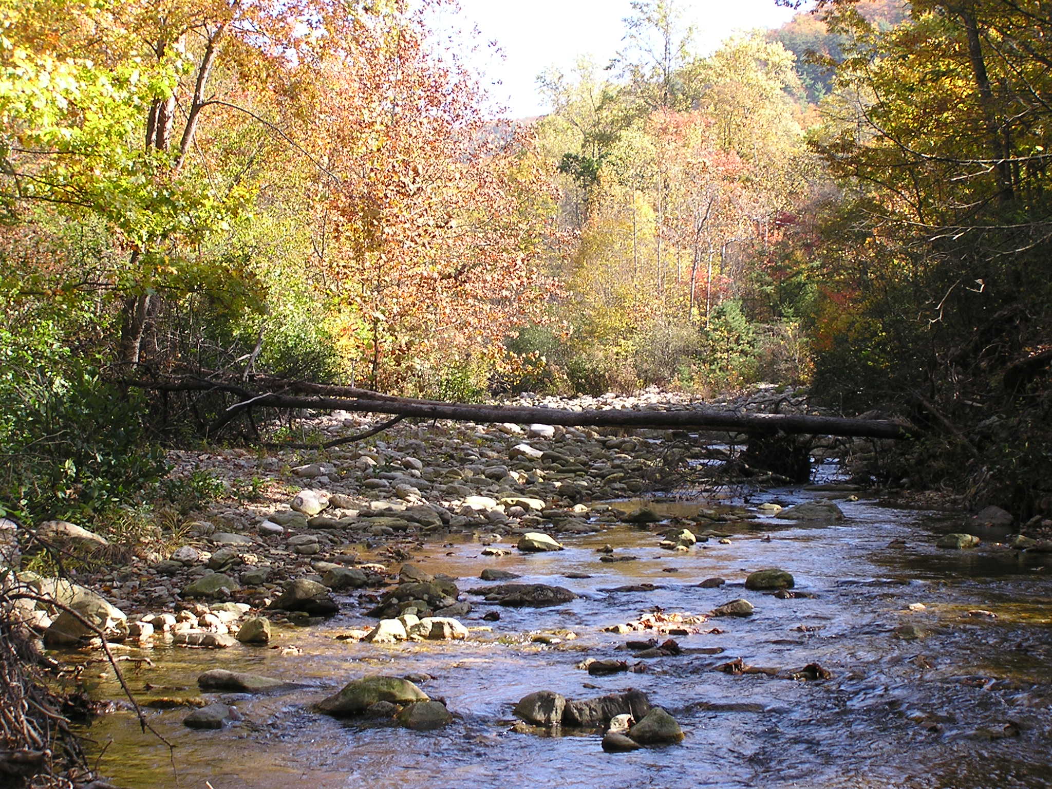 Photo 2 for St. Mary's River, Virginia