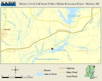 NFHAP: Mackeys Creek Gulf Coast Strain Walleye Habitat Restoration