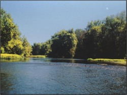 The shoals at Lillard's Mill in the Duck River.