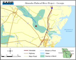 Altamaha Flathead River Project - Georgia
