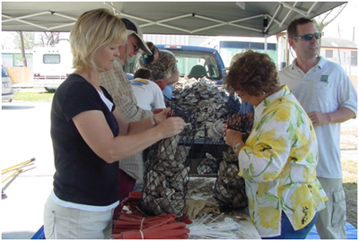 Residents make shell bags to recruit oyster larvae