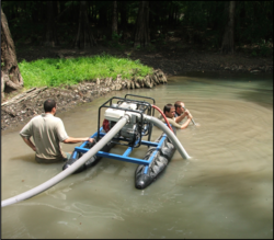 Sediment was dredged from the spring head. 