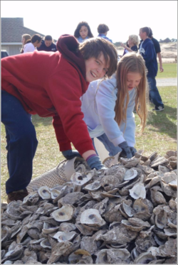 Volunteers fill shell bags for sill.