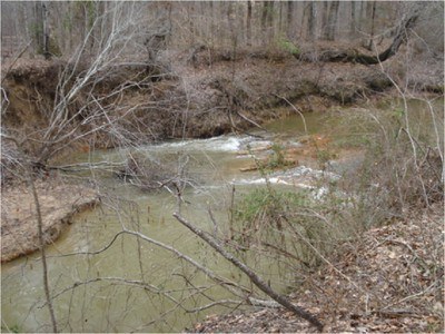 The eroding stream bank destroyed spawning habitat and reduced water quality for others in the ecosystem