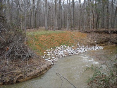 New spawning site after stream bank stabilization and benthic adjustments