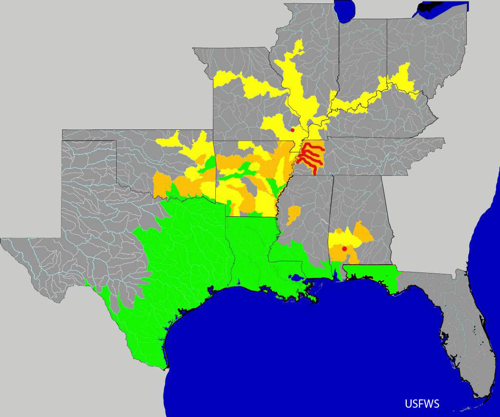 Watershed Distribution Status of Alligator Gar