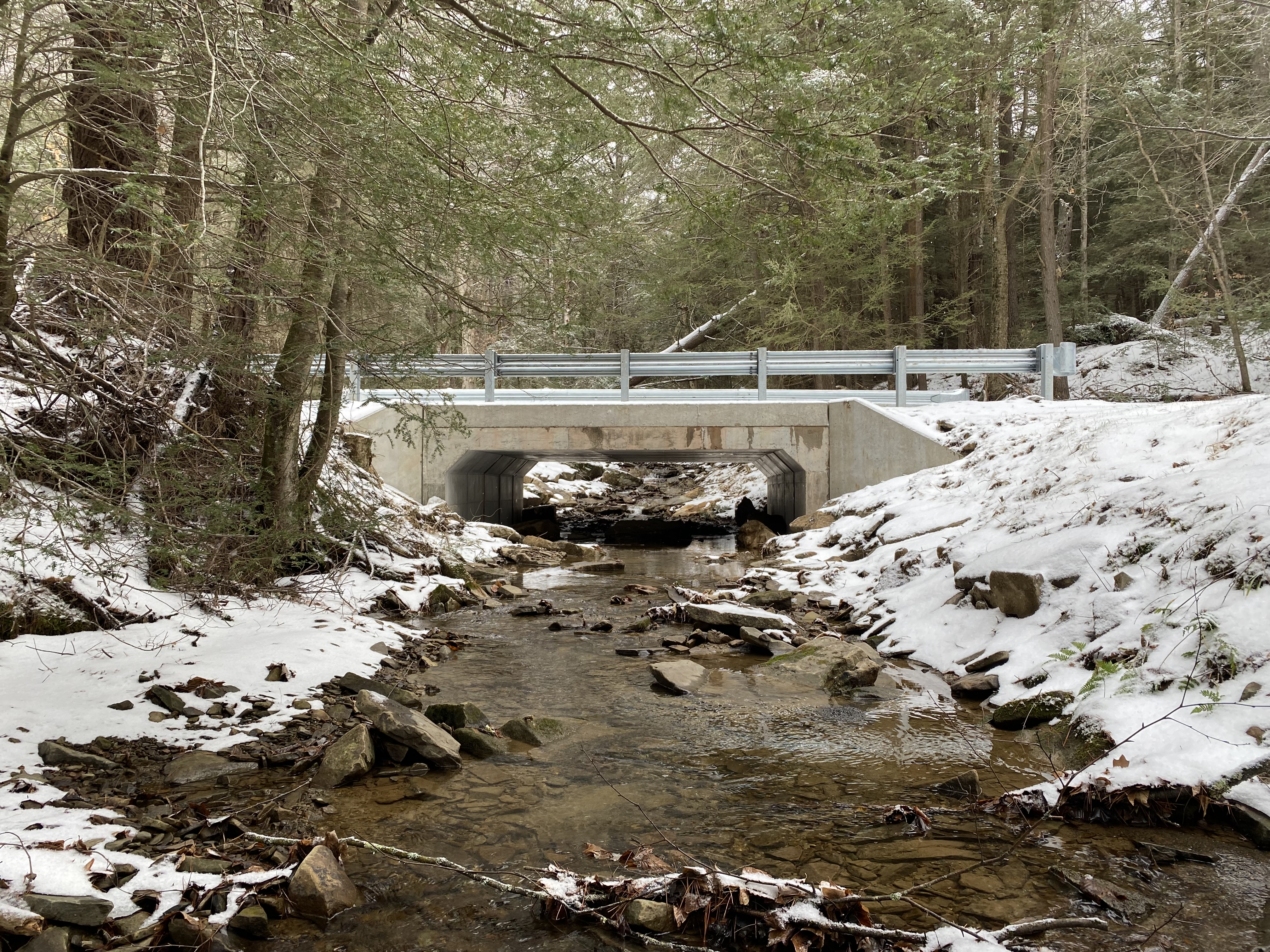 Brook trout can move a little freer in Maryland's Blue Lick Watershed