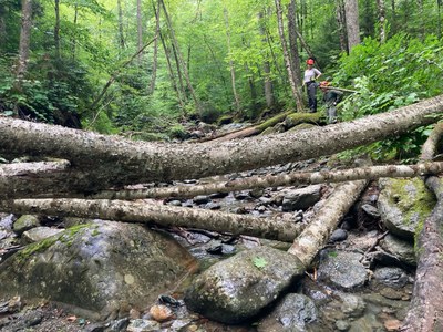 Erin Rodgers, PhD, stands near newly added wood in the upper White River of Vermont.