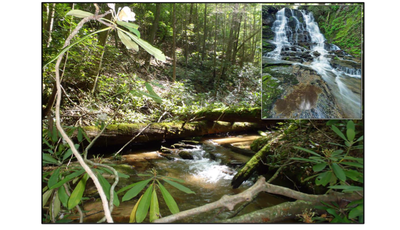 Eastern Brook Trout Joint Venture Awards FY25 projects
