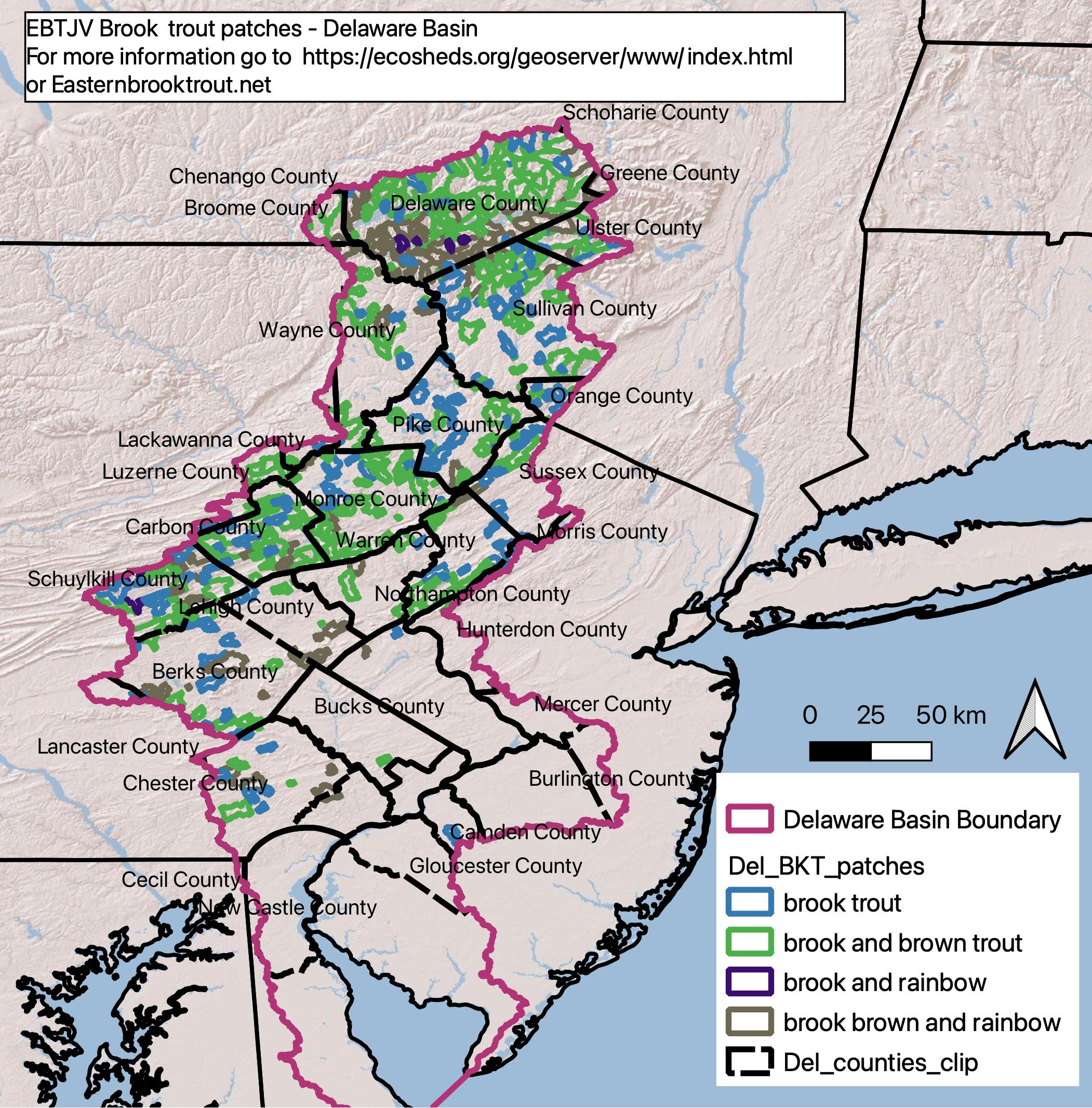 EBTJV, PA, NY, NJ, TU, and WMI partner to increase capacity for brook trout conservation