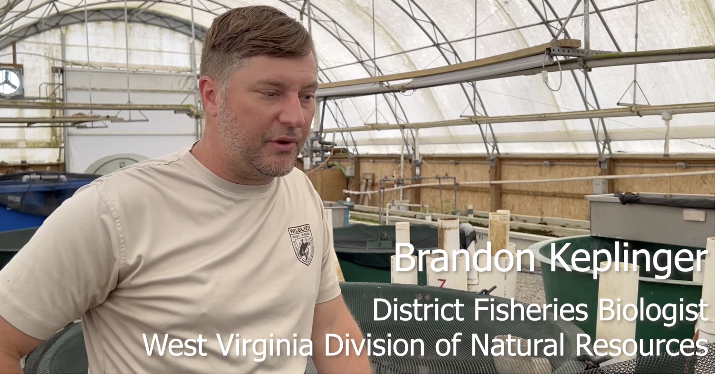 Sharing from CBF: How restoring West Virginia's native brook trout also restores water quality, and the critical partnerships making this important work happen