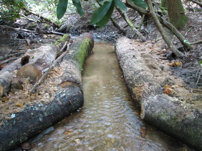 Flow constrictors placed in Pretty Branch to restore deep channel habitat for brook trout.