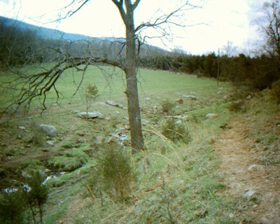 Photo of Smith Creek before livestock exclusion.