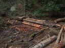 Habitat Restoration for Southern Appalachian Brook Trout in 15 Chattahoochee National Forest Streams, Georgia