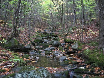 Control Site on an unnamed tributary in the Sunday River, Maine.