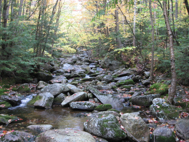 Tributary to Sunday River, Maine