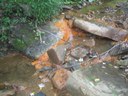 Restoring Brook Trout to Aaron Run, Maryland