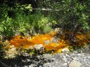 South Sandy Creek Restoration, Williams Run, Pennsylvania