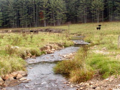 Photo of Whitethorn Creek, West Virginia.