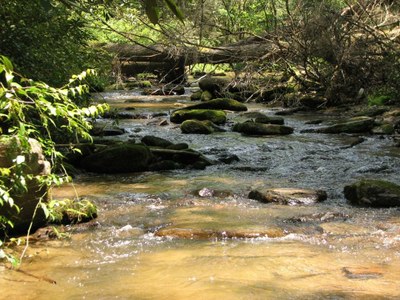 Photo of Laurel Fork Creek, a typical brook trout stream in Jocasse Gorges, South Carolina