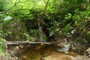 Restoring Stream Habitat Connectivity in WB Machias, Maine