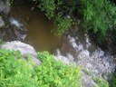 Sevier Road Crossing Stream Restoration in the Nine Mile Creek Watershed, New York