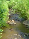 Brook Trout Restoration and Expansion in Garth Run, Virginia