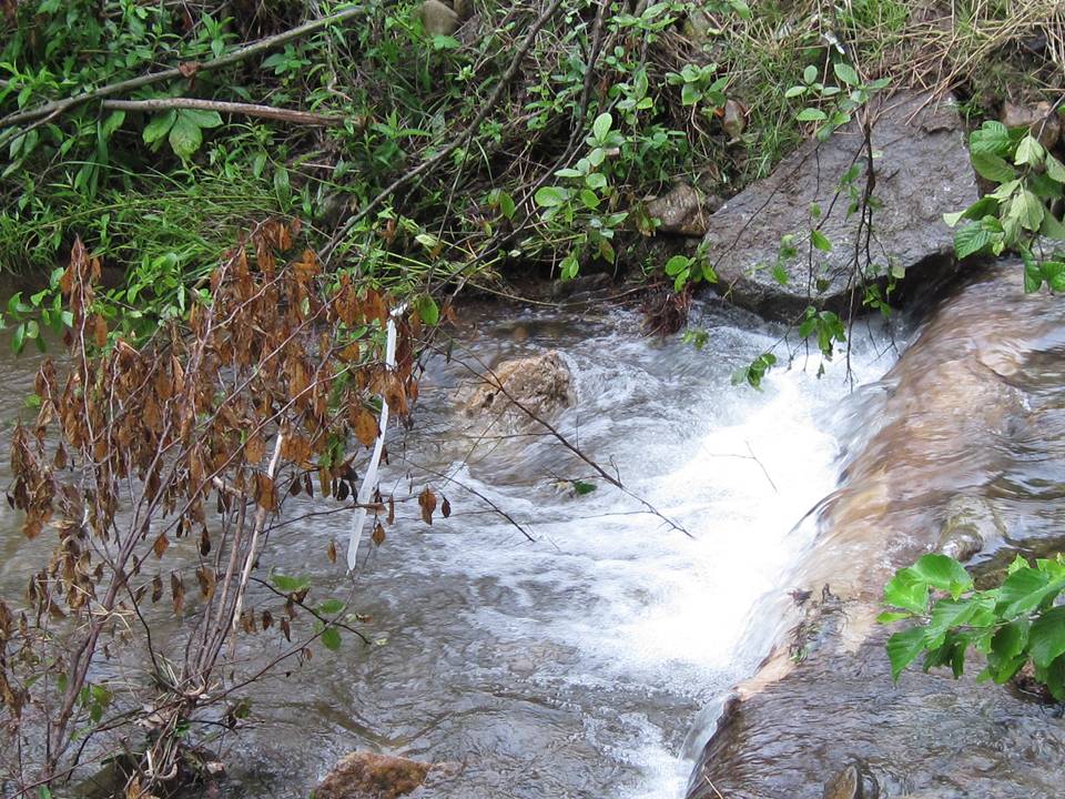 Photo 2 of Garth Run, Virginia