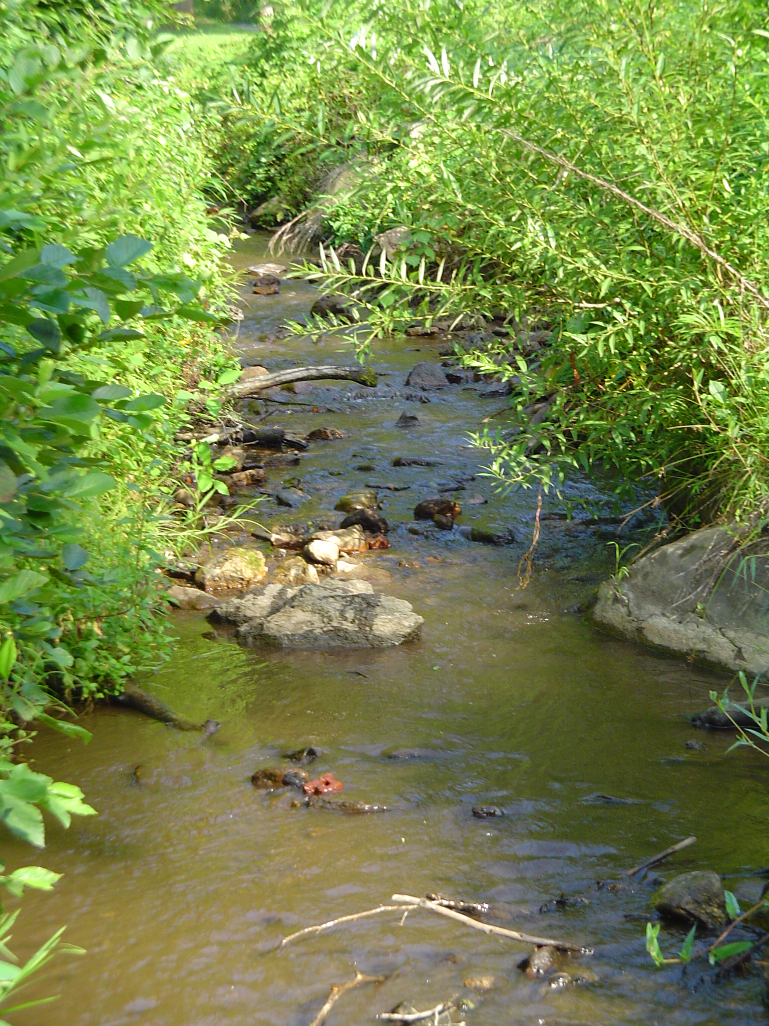 Photo 3 of Garth Run, Virginia